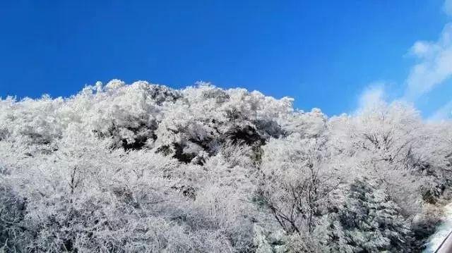 日媒爆韩政府想让韩财团为日方代缴强征劳工赔款，捐款是为了赔偿吗？