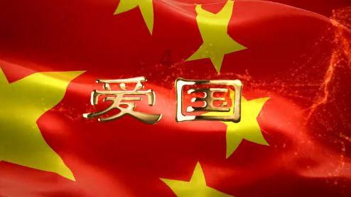 救援七星瓢虫