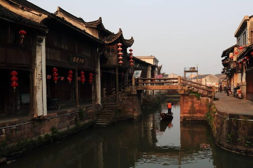拯救小萌虎